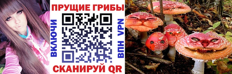где можно купить наркотик  Кимры  Галлюциногенные грибы Psilocybine cubensis 
